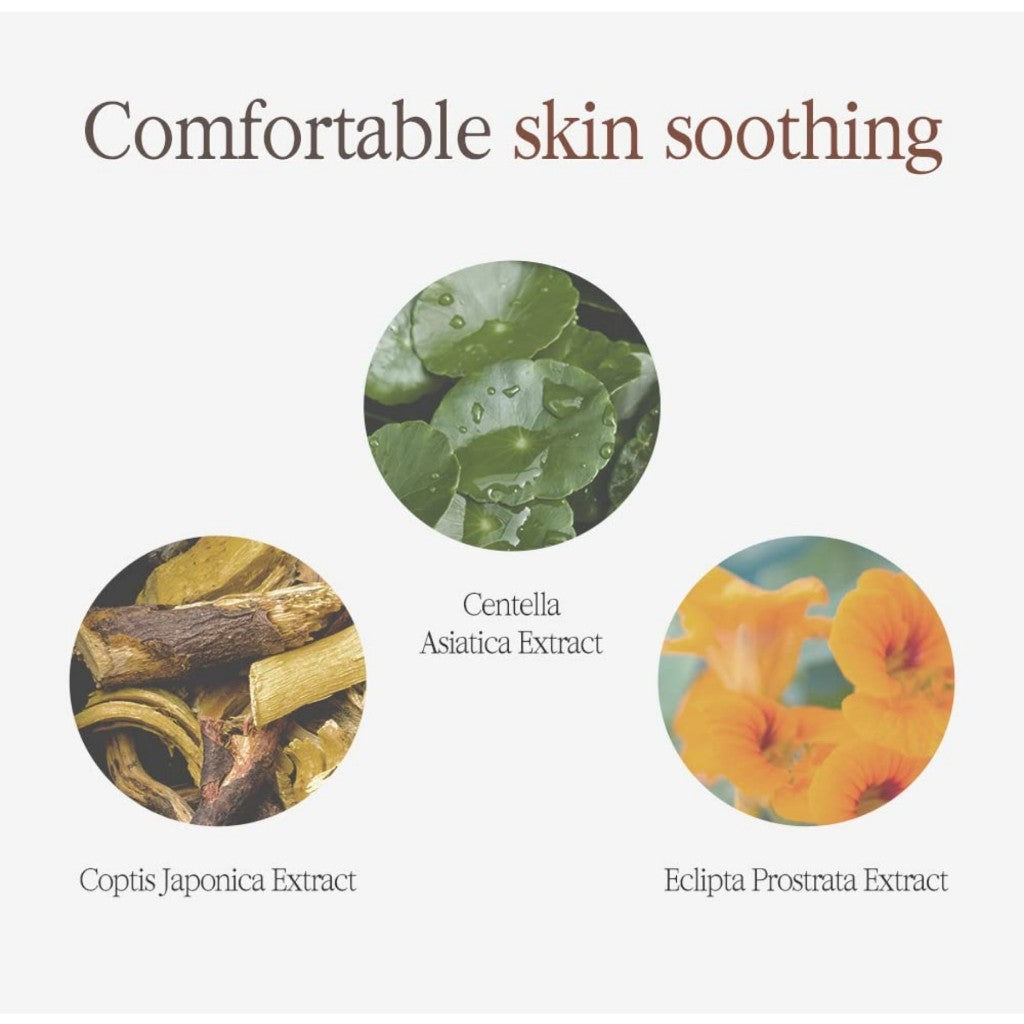 PYUNKANG YUL Black Tea Boosting Serum, 45mL