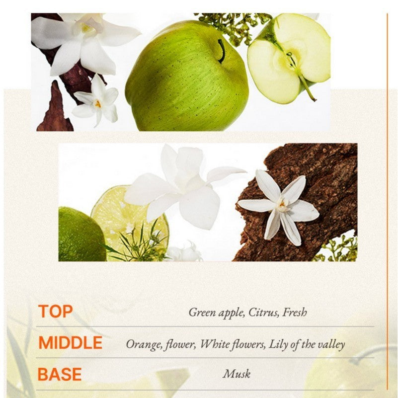 Mise-en-Scène Perfect Serum Treatment 180ml