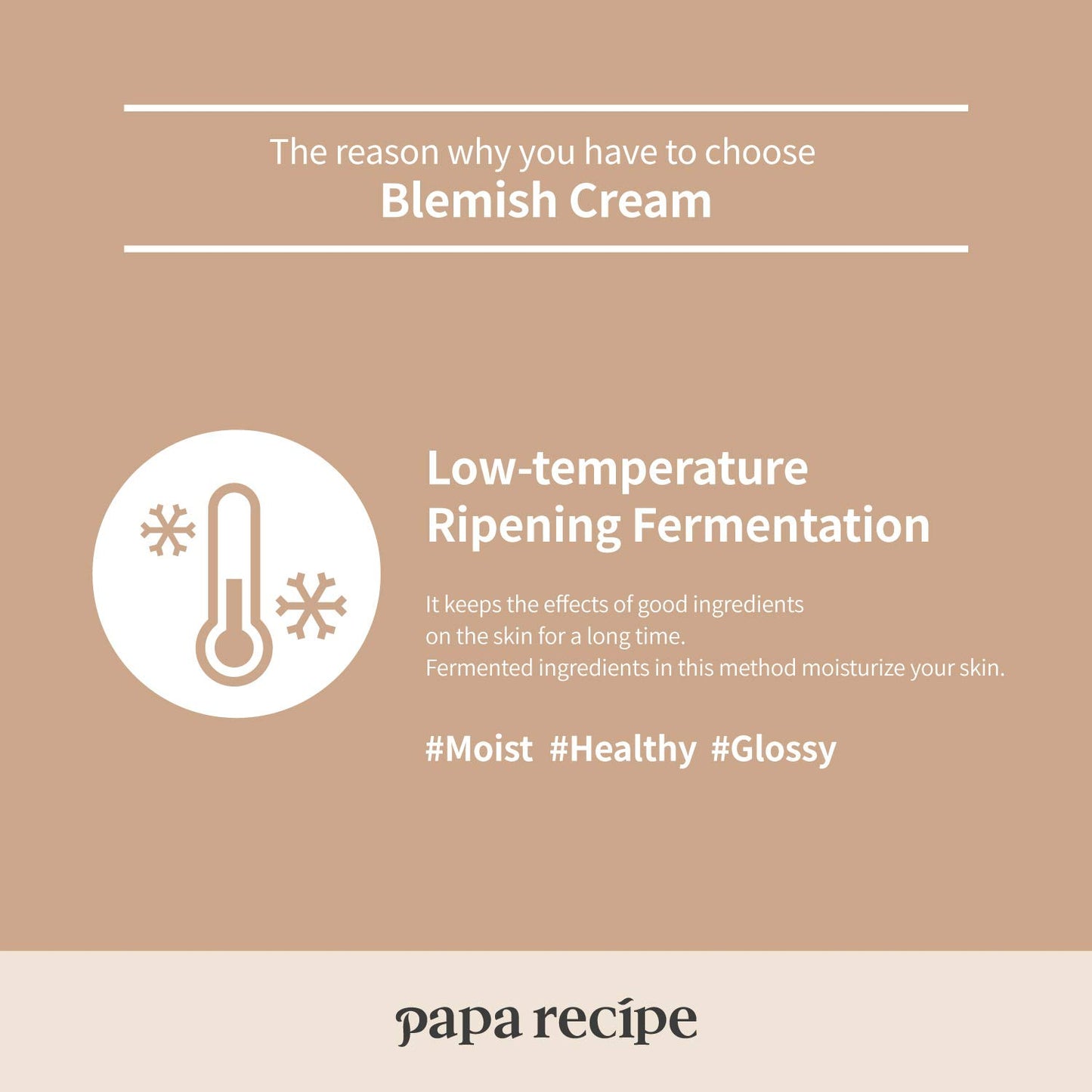 Papa Recipe Blemish Cream 100ml