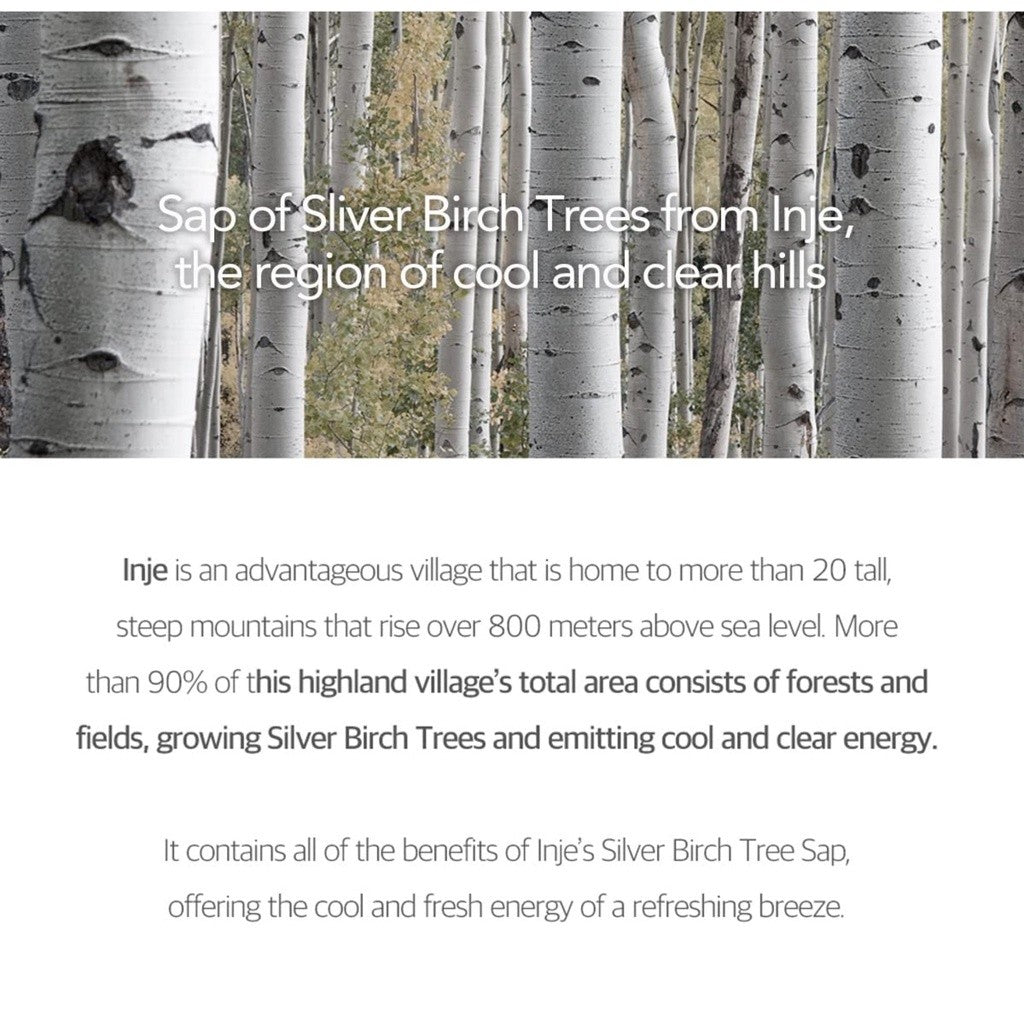 ROUND LAB Birch Juice Moisturizing Tone Up Sunscreen 1.69 Fl.Oz/50mL, No White Cast, Strong UV Protection, Moist Essence Type, Ocean Friendly-Reef Safe