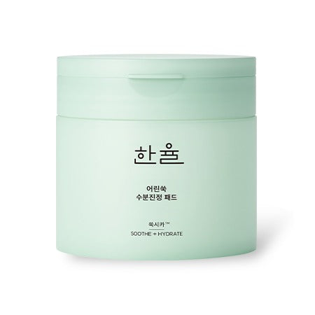 [HANYUL] Pure Artemisia Calming Toner Pads, (60sheets) 170mL | Deep Moisturizing and Quick Soothing Facial Pads, Herb Extracts with CICA