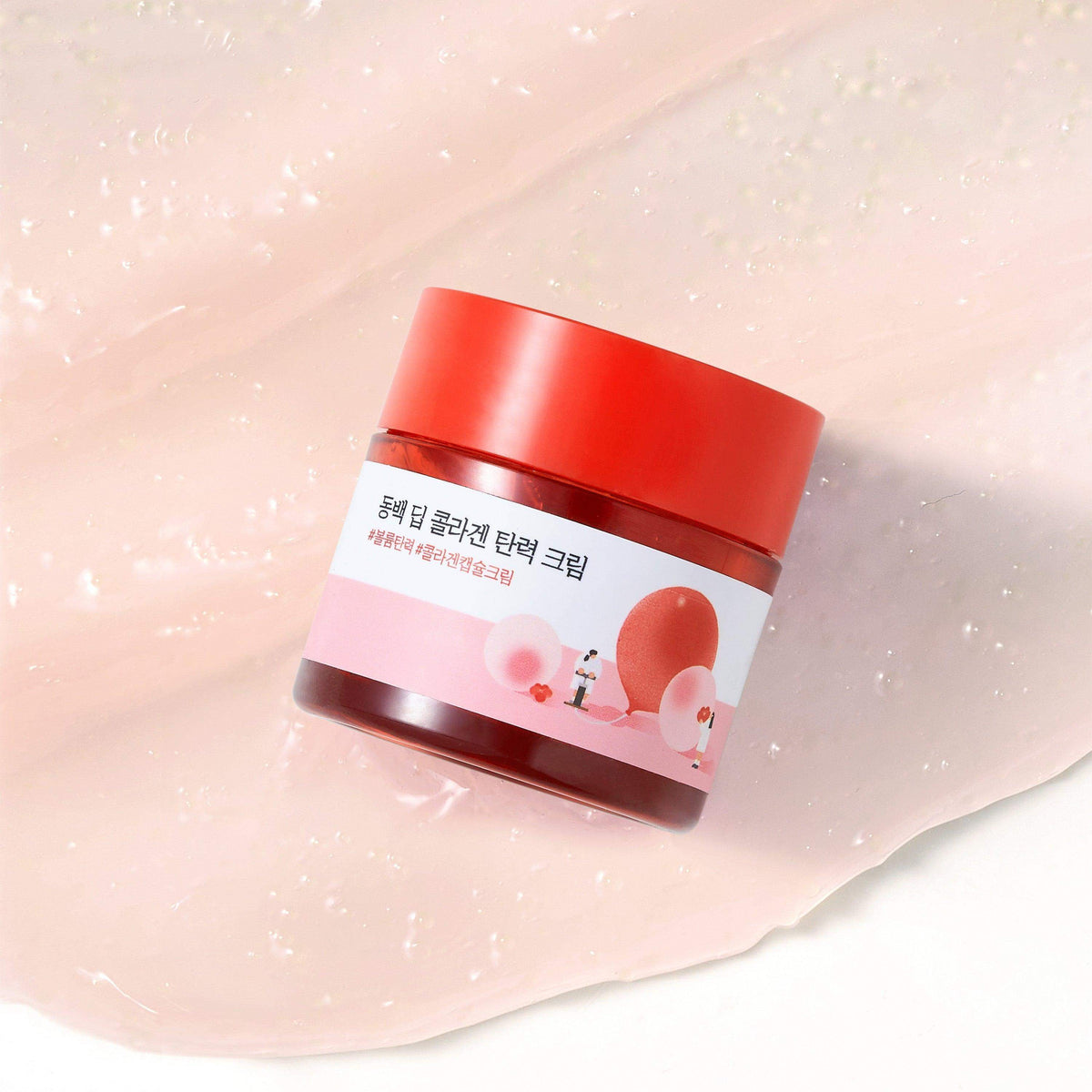Round Lab Camellia Deep Collagen Collection (2 Options) │ Cream 50ml / Ampoule 30ml