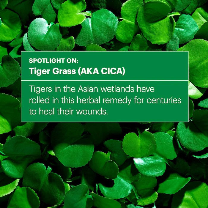 Dr.Jart+ Cicapair Tiger Grass Color Correcting Treatment SPF22 PA++ 15ml/50ml
