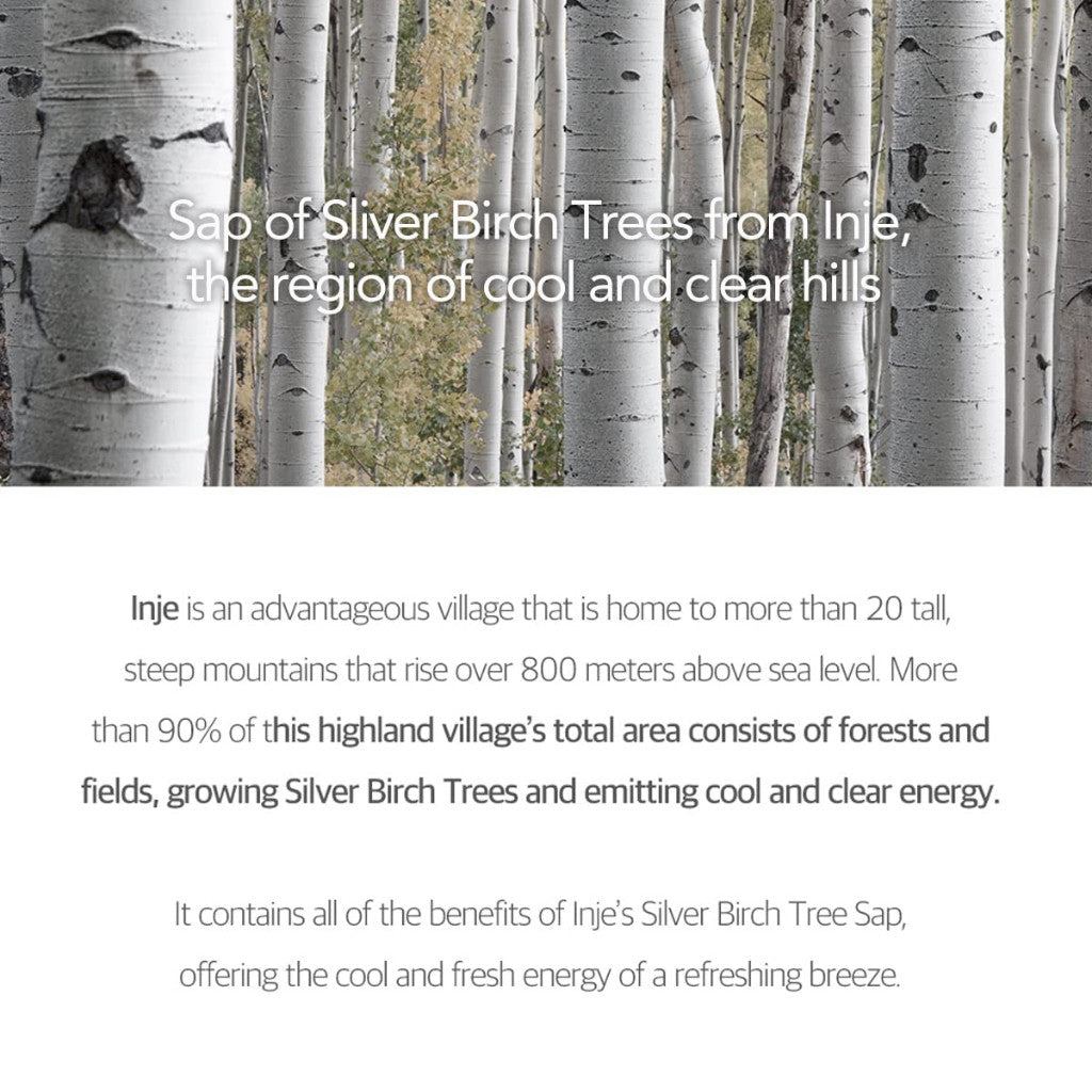 1+1 ROUND LAB Birch Juice Moisturizing Tone Up Sunscreen 1.69 Fl.Oz/50mL