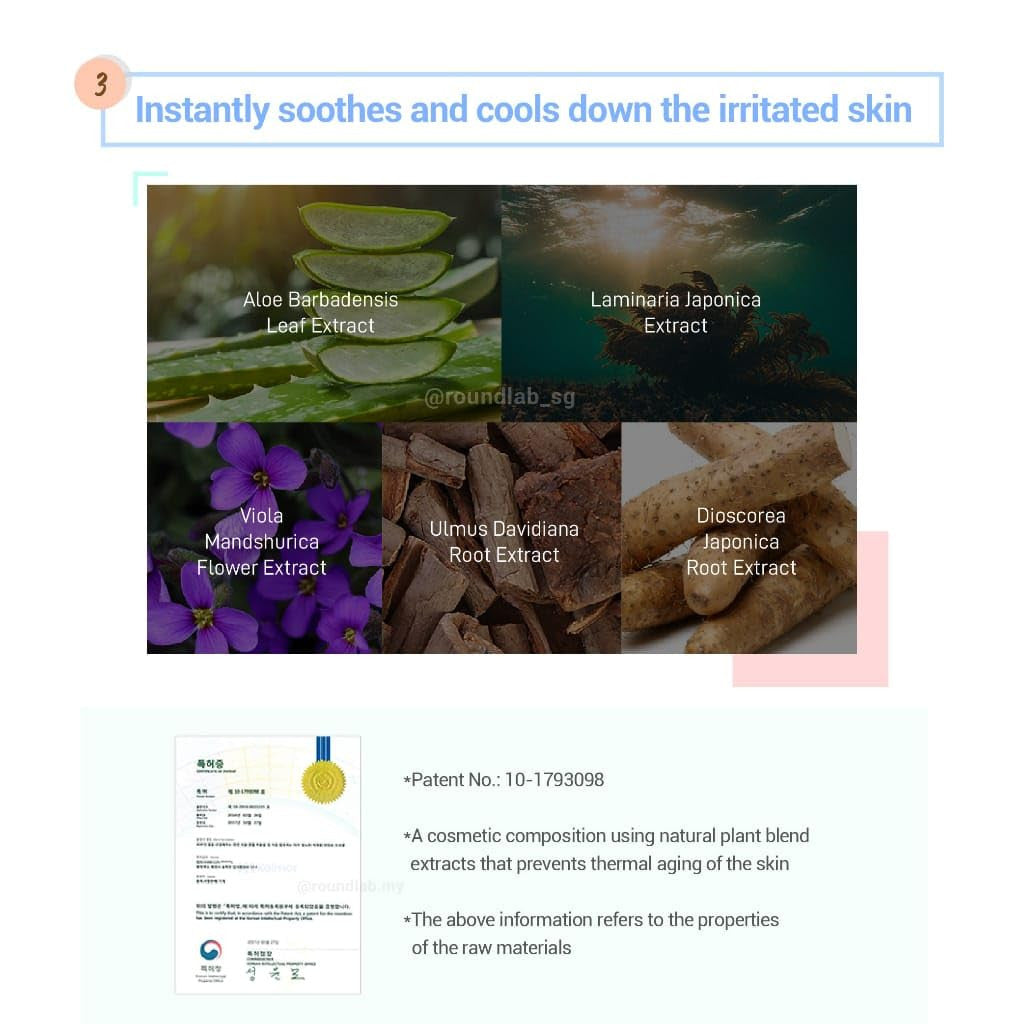 Round Lab Birch Juice Moisturizing / Pine Calming Cica Airy Sun Stick, 19g (2 Types) | SPF 50+ PA++++