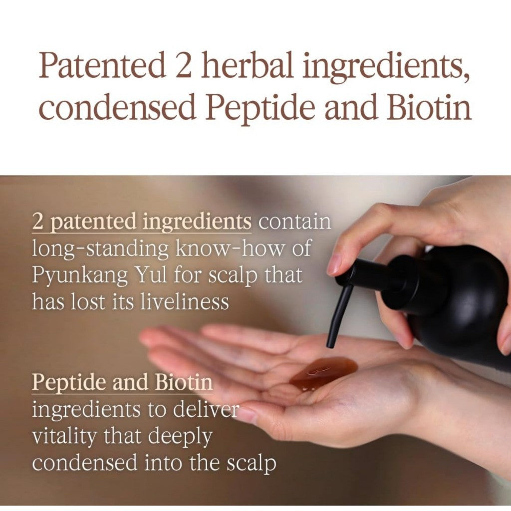 PYUNKANG YUL Herbal Hair Loos Control Shampoo, 500mL - Fermented Black Tea containing rich Ingredients polypheonol, catechin