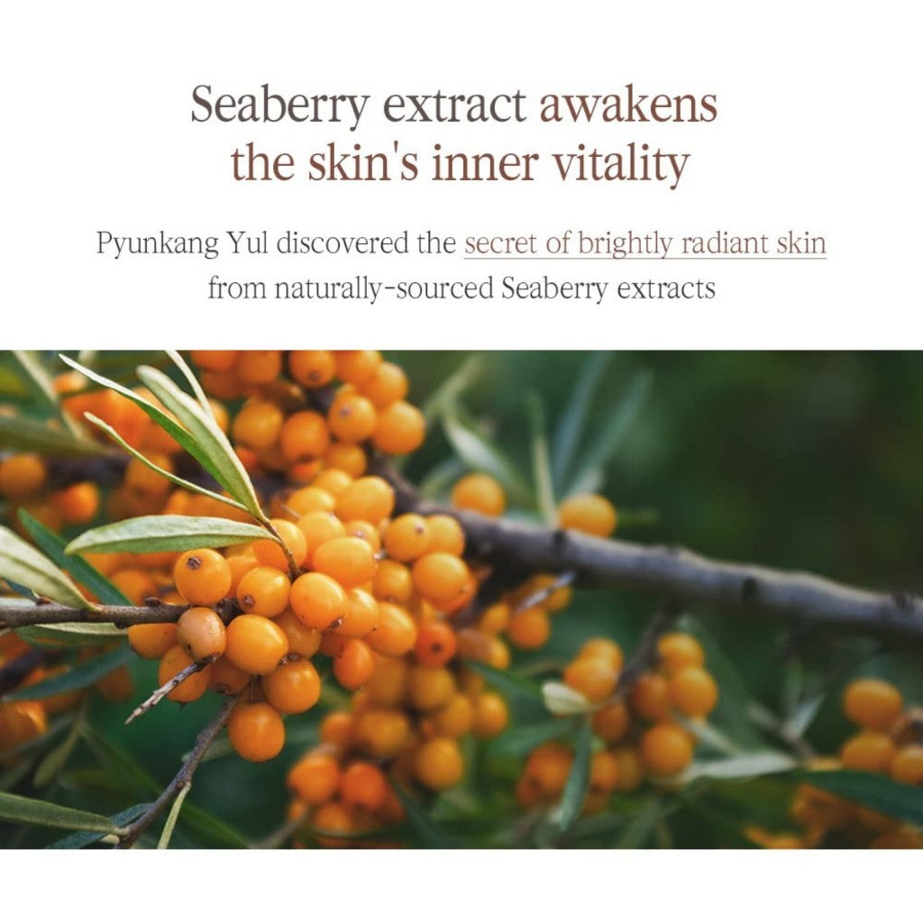 PYUNKANG YUL Black Tea Boosting Serum, 45mL