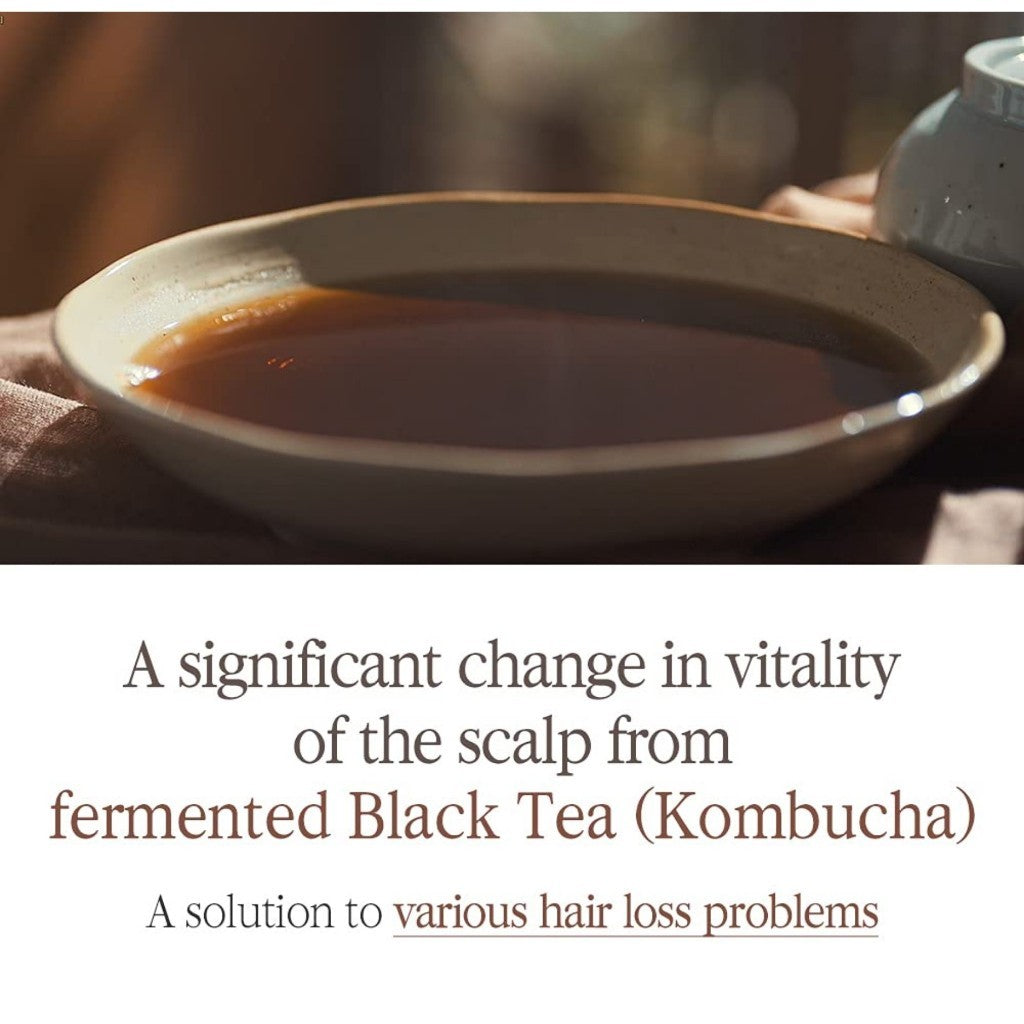 PYUNKANG YUL Herbal Hair Loos Control Shampoo, 500mL - Fermented Black Tea containing rich Ingredients polypheonol, catechin