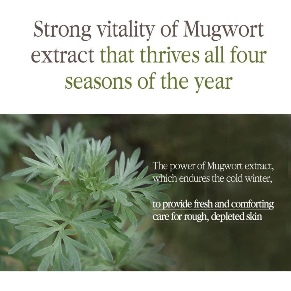 PYUNKANG YUL Black Tea Deep Infusion Toner, 130ml | Korean Anti-Aging Facial K Beauty Toner