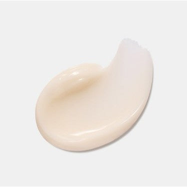[MINI] Innisfree Collagen Green Tea Ceramide Bounce Cream
