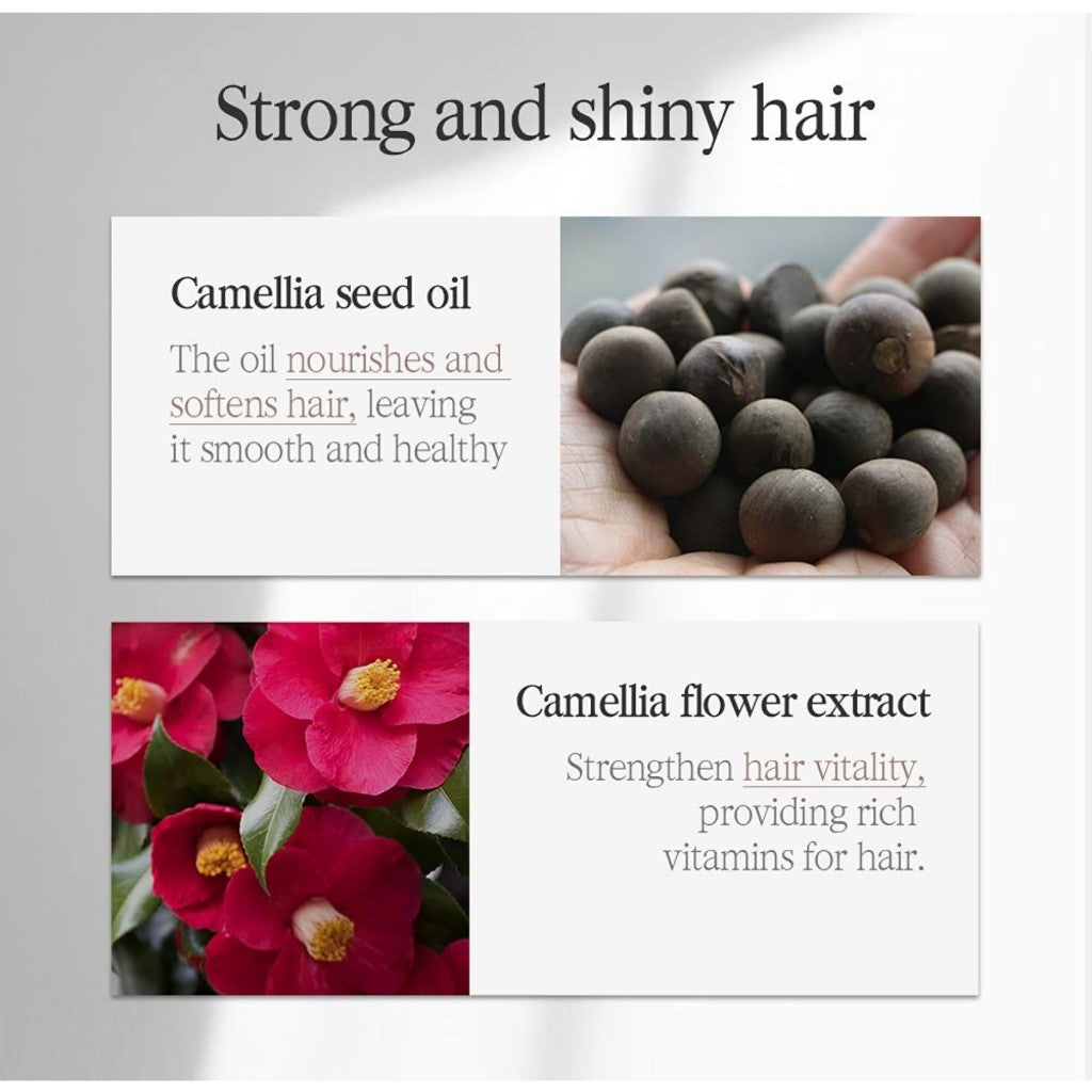 PYUNKANG YUL Herbal Hair Loos Control Shampoo, 500mL - Fermented Black Tea containing rich Ingredients polypheonol, catechin