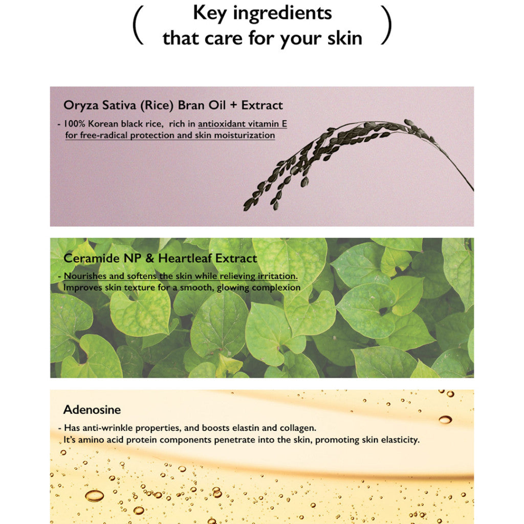 [Haruharu] wonder Black Rice Daily Sunscreen 50ml spf50+ pa++++