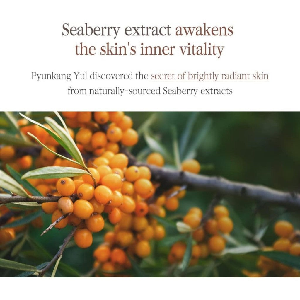 PYUNKANG YUL Black Tea Deep Infusion Toner, 130ml | Korean Anti-Aging Facial K Beauty Toner