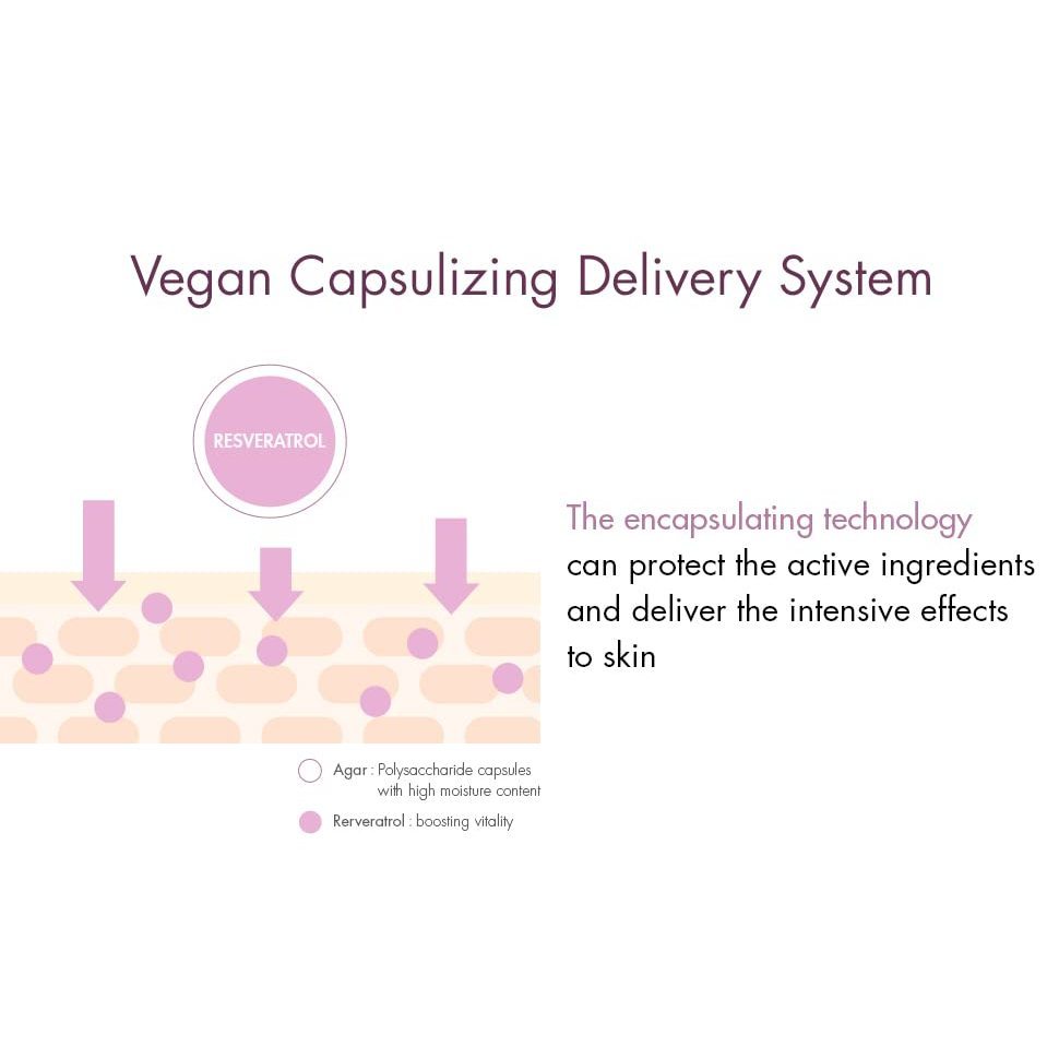 DR.CEURACLE Vegan Active Berry Lifting Cream 75g
