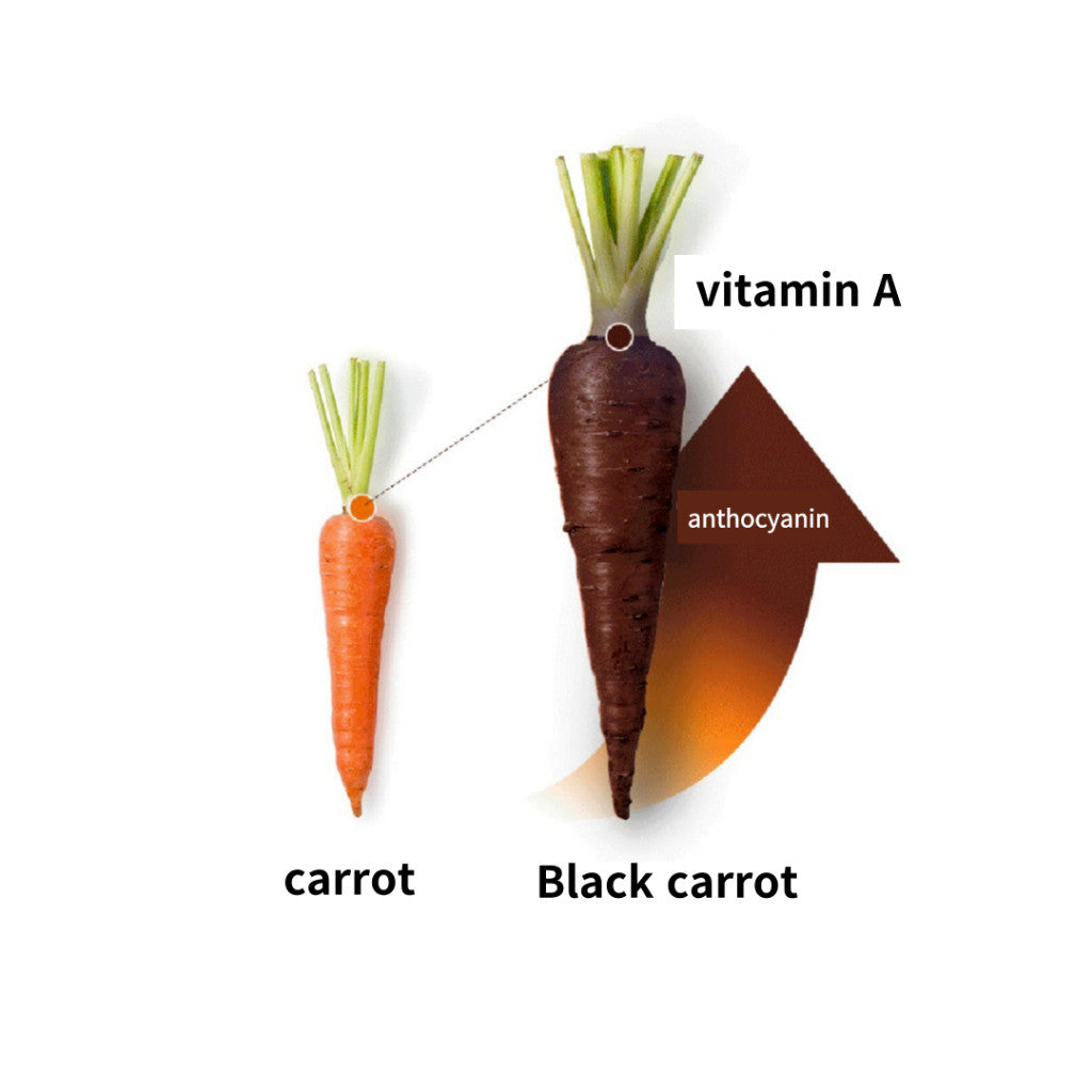 [MINI] GOODAL Black carrot Vita A Retinol Elastic Ampoule 9ML