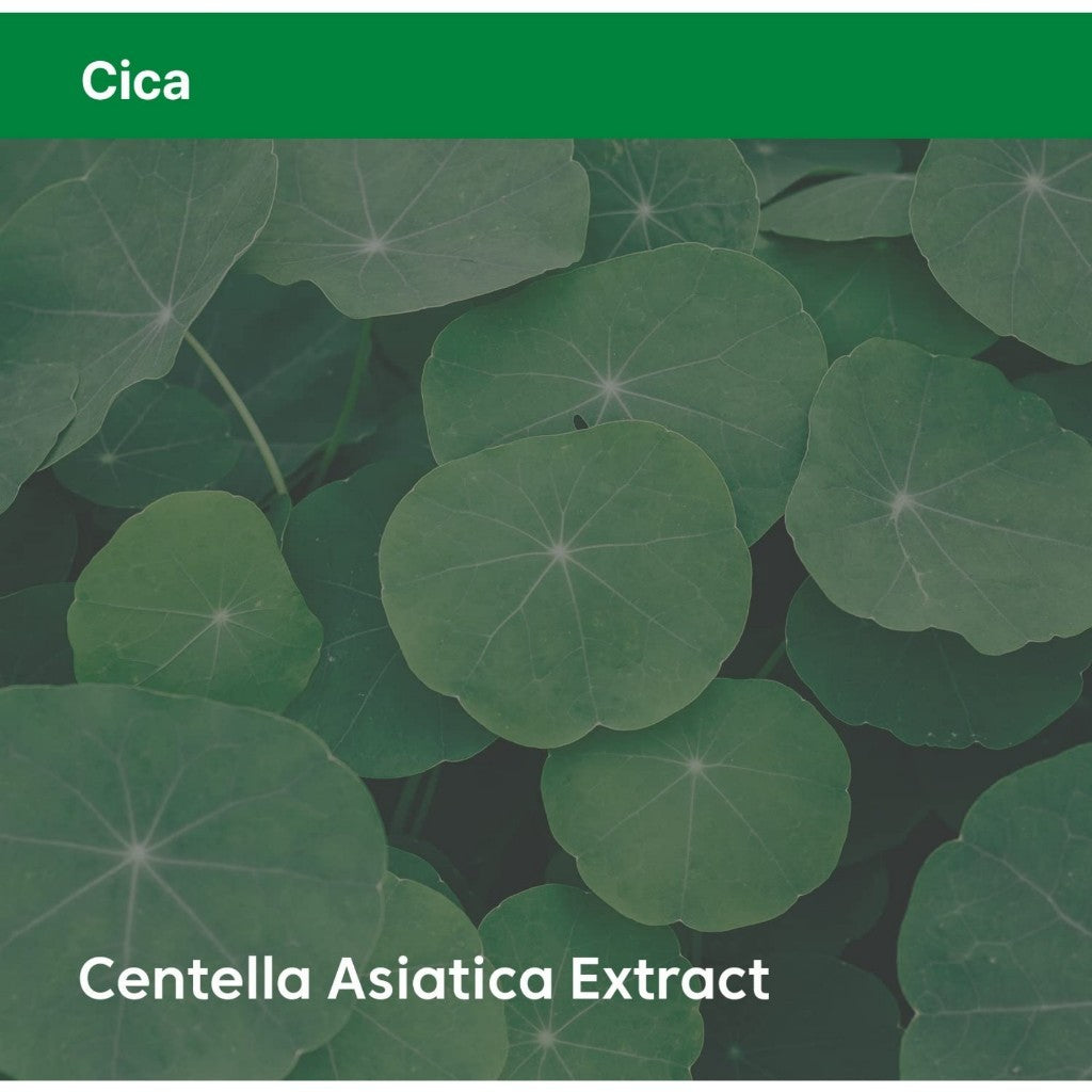THANK YOU FARMER Phyto Relieful™ Cica Cream 2.81 Fl Oz (80ml) - Vegan, Centella Asiatica for Soothing