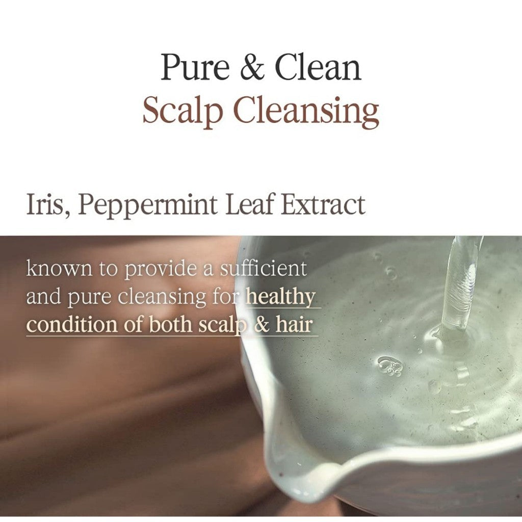 PYUNKANG YUL Herbal Hair Loos Control Shampoo, 500mL - Fermented Black Tea containing rich Ingredients polypheonol, catechin