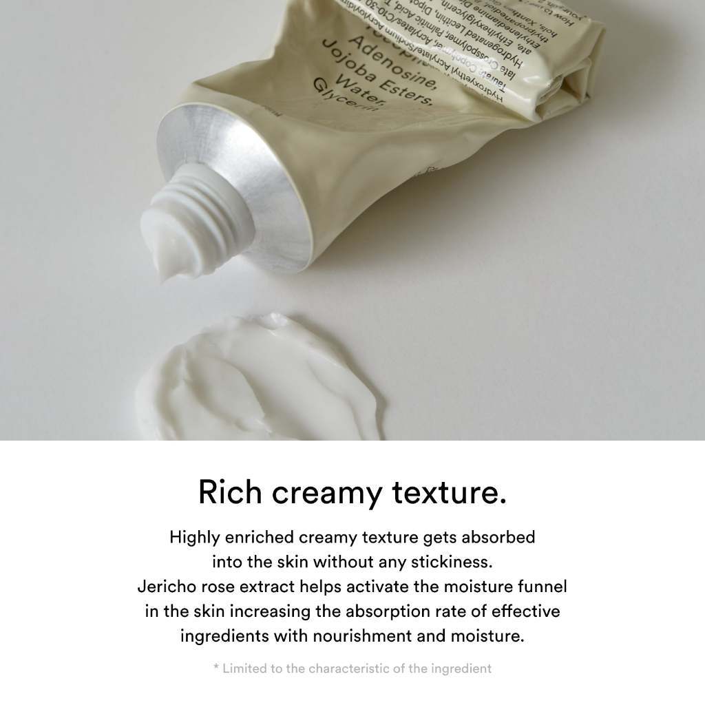[SET] Abib Jericho Rose Crème Nutrition Tube 75ml 1+1 Special Set (Special Gift: Jericho Rose Collagen Pad 4P)