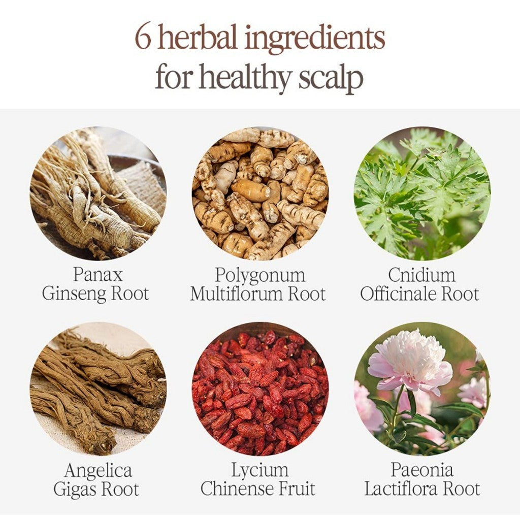 PYUNKANG YUL Herbal Hair Loos Control Shampoo, 500mL - Fermented Black Tea containing rich Ingredients polypheonol, catechin