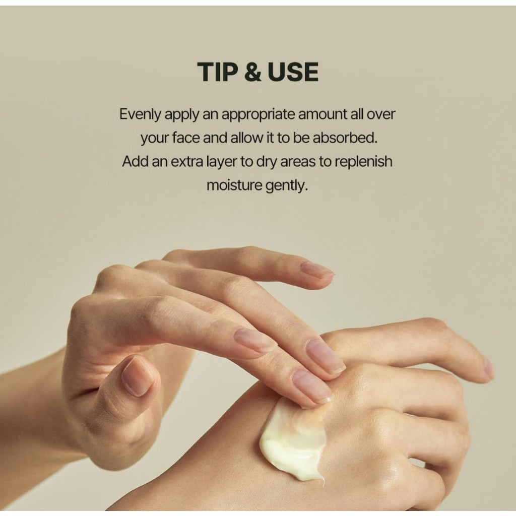 [Torriden] SOLID-IN Ceramide Cream 2.4 fl oz / 70mL | Ceramide Moisturizer