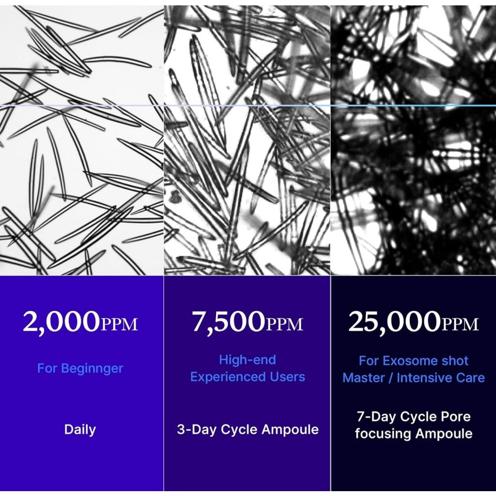 MEDICUBE One Day Exosome Shot Pore Ampoule 25000 13ml