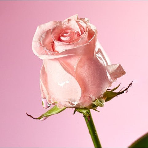 [MINI] MAMONDE Rose Liquid Mask 15ml / Flora Glow soothing cream 25ml (2 Types)