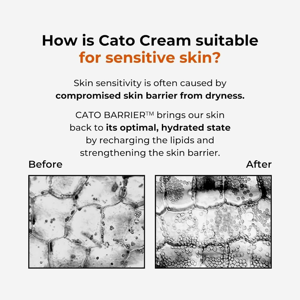 P.CALM Cato Facial Cream 80ml