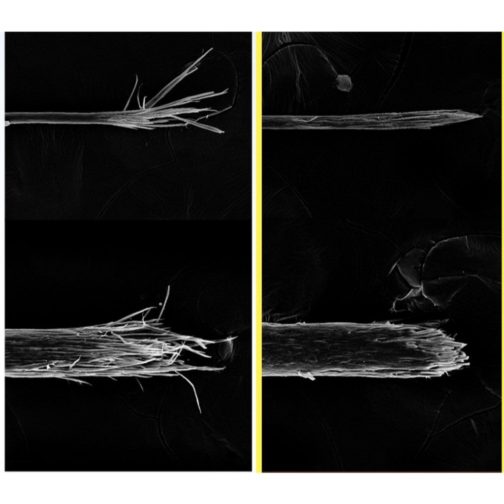 [ Healing Bird ] Revive Repair Hair Oil, 70mL | Strenghen & Shine