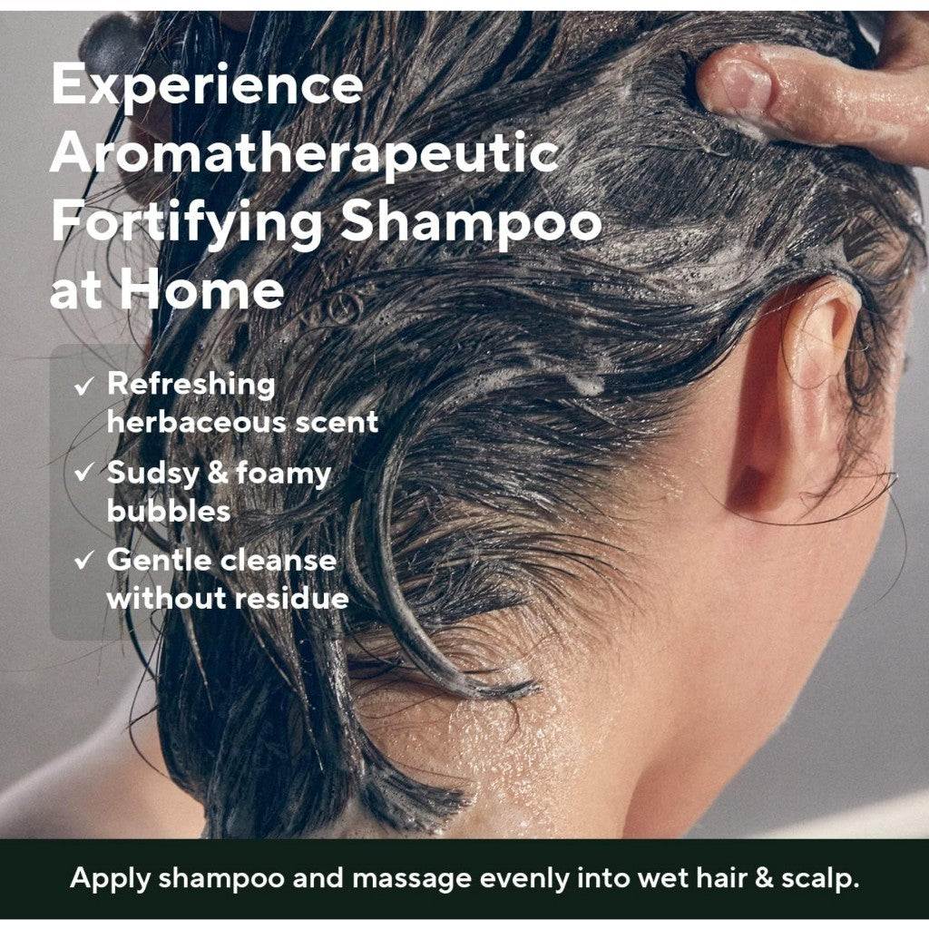 [AROMATICA] Tea Tree Purifying Shampoo 13.53fl.oz./400ml, Tea Tree Shampoo for Oily Hair and Scalp, Sulfate Free, Vegan