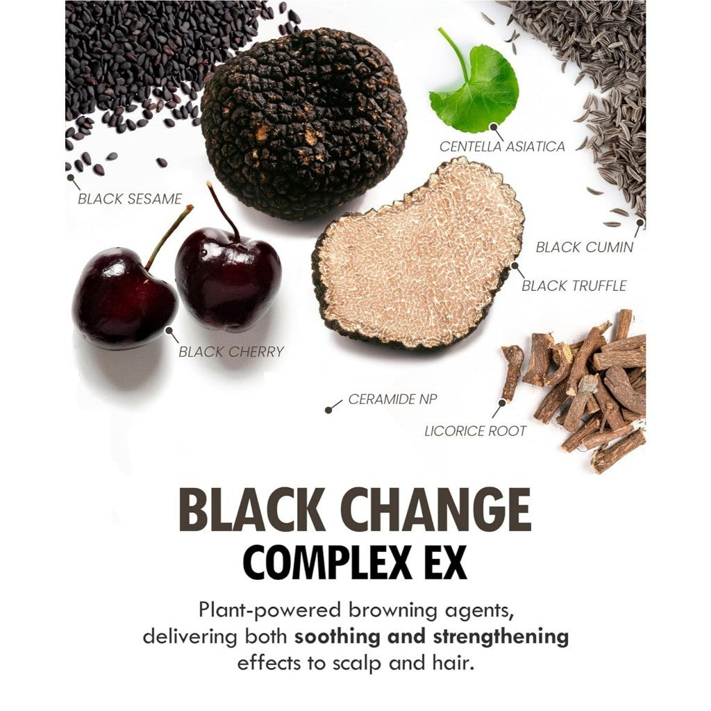 [ModaModa] Zero Gray Black Hair Shampoo (100g/300g) | Natural Darkening Color Shampoo Hair Dye for Hair & Scalp