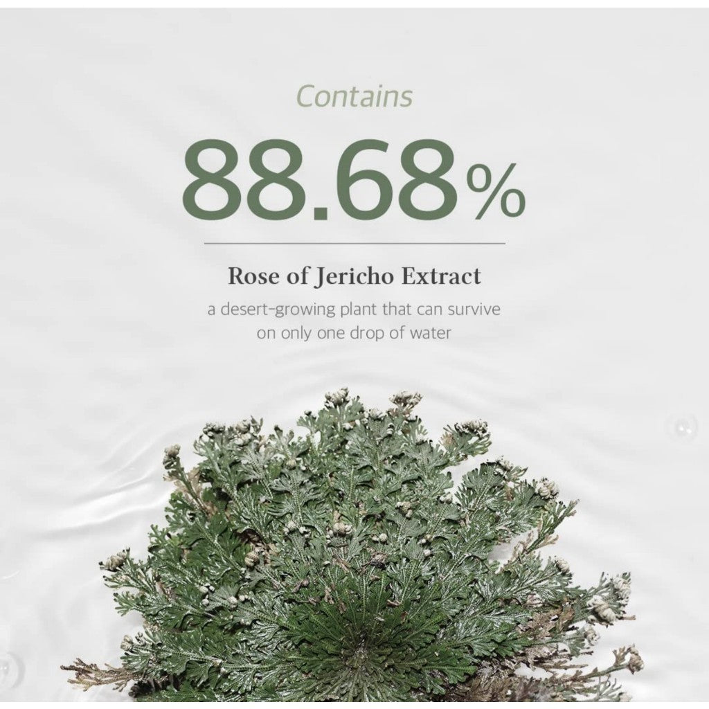 [Dr.Althea] Anastatica Skin Healing Vegan Gel Cream, 30mL | 88% Anastatica Hierochuntica plant extract, Vegan & Cruelty free