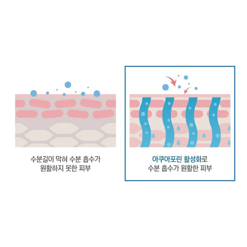 ROUND LAB Birch Moisture Ampoule 50ML