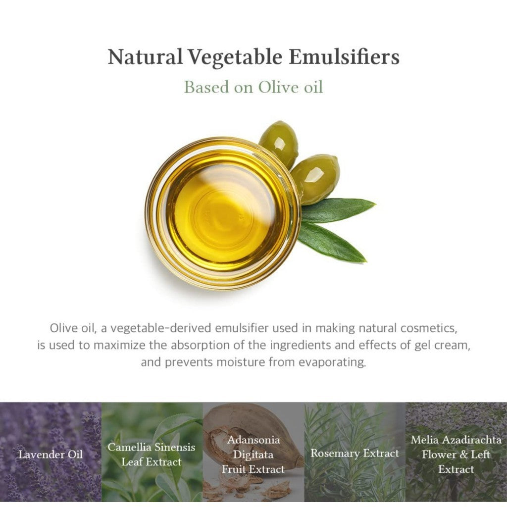 [Dr.Althea] Anastatica Skin Healing Vegan Gel Cream, 30mL | 88% Anastatica Hierochuntica plant extract, Vegan & Cruelty free