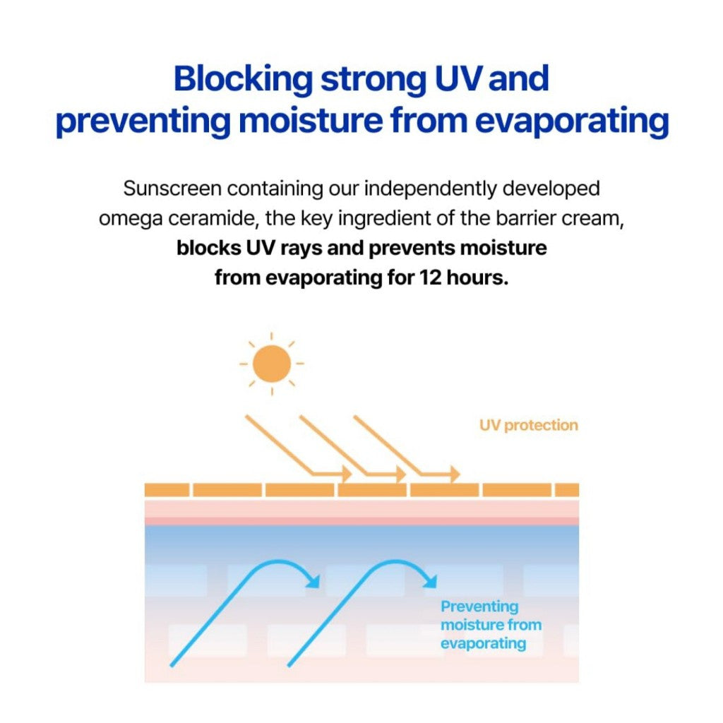 REAL BARRIER Sun Cream SPF50+ PA++++ 50mL 4options (Cera Moisture Barrier, Cica green ton-up, Aqua soothing, Peach Fit tone-up)