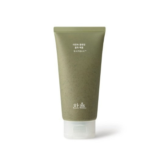 HANYUL Pure Artemisia Cleansing Pack Foam 120mL