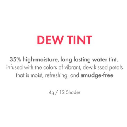 AMUSE Dew Tint 12 Colors (+New 4 Colors) 4g