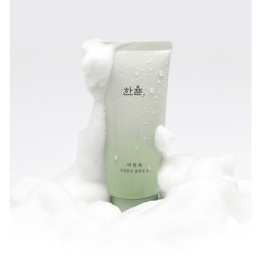 [Hanyul] Pure Artemisia Calming Foam Cleanser, 120g
