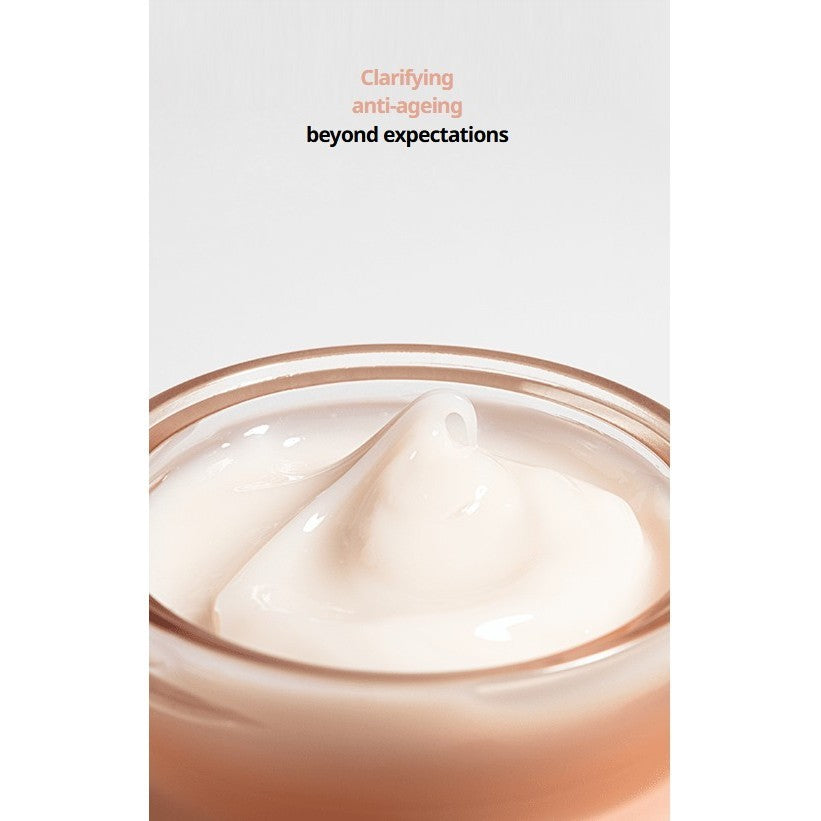 V&A BEAUTY Antioxidant Hydration Cream 50ml