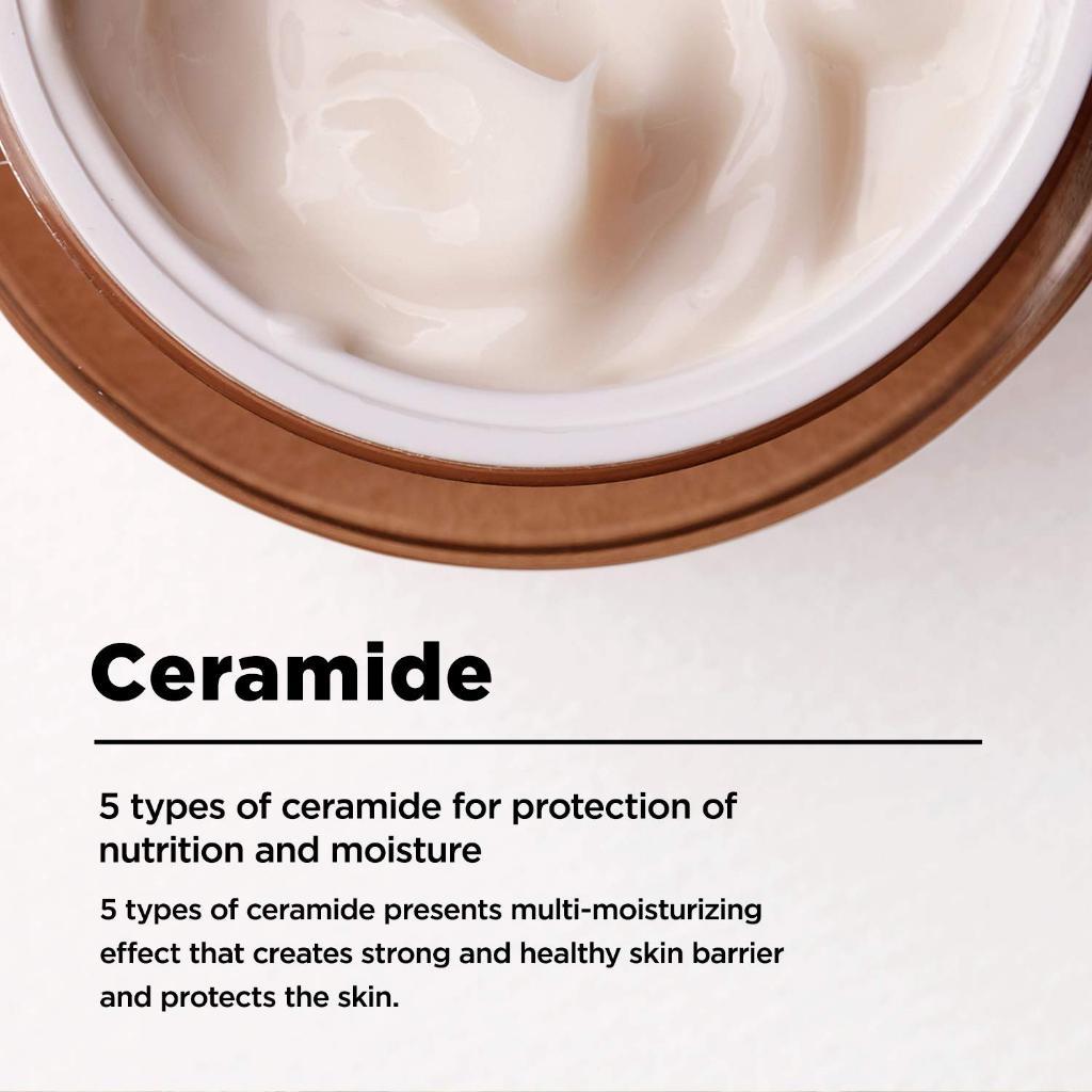 MANYO Bifida Biome Concentrate Cream 50ml