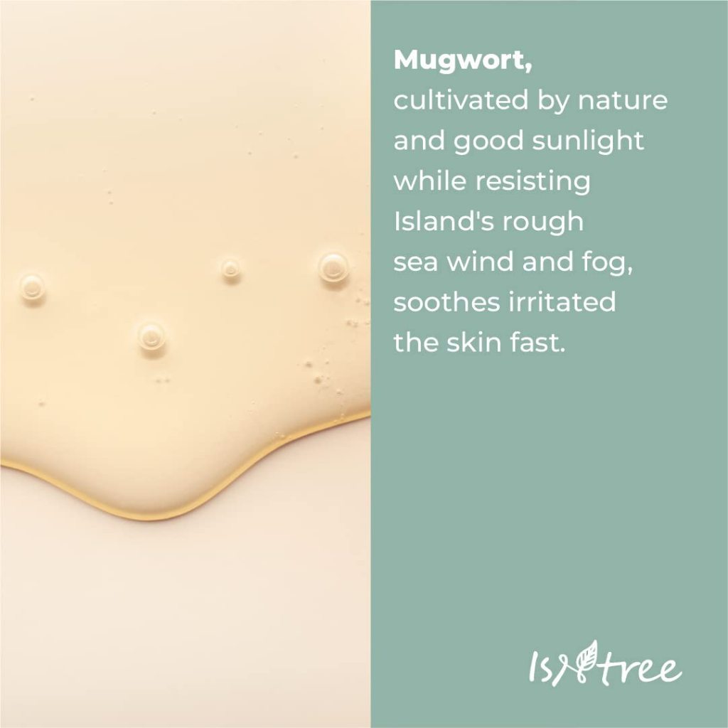 ISNTREE Mugwort calming Ampoule 50ml