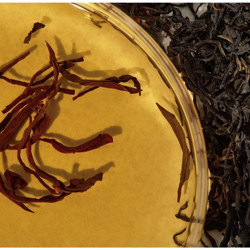 [KAINE] Kombucha Balancing Ampoule Toner, 150ml