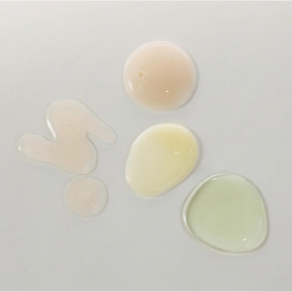 KAINE Serum Discovery Kit ( Vita Drop Serum / Chaga Collagen Charging Serum / Rosemary AHA Night Serum / Kombu Barrier Ampoule )