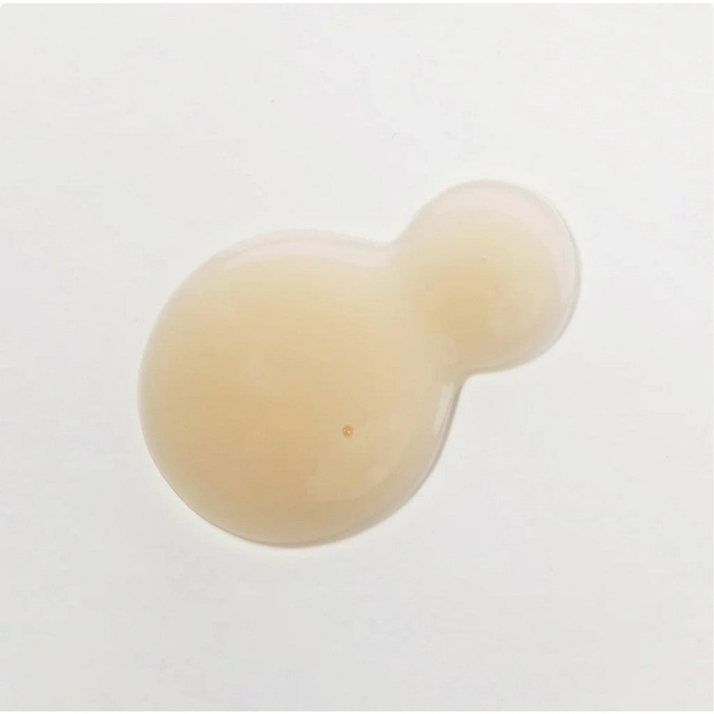 [KAINE] Chaga Collagen Charging Serum, 30mL
