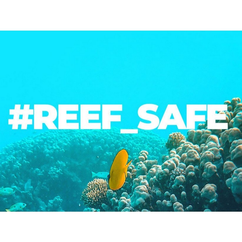 [Bring Green] Bamboo Hyalu Watery Sun Cream, 50ml | SPF50+ PA++++, Reef Safe