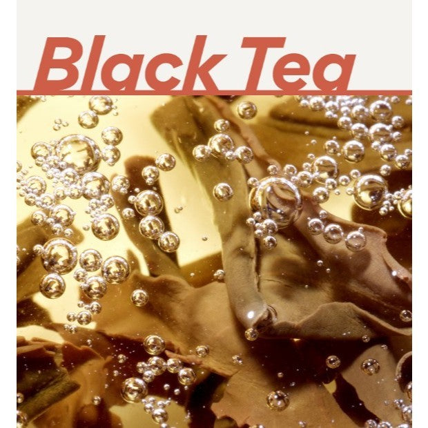 INNISFREE Black Tea Ampoule 7ml & Cream 15ml Kit