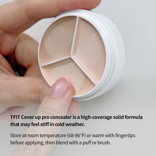 [New] TFIT Cover Up Pro Concealer, 15g (7 Types)
