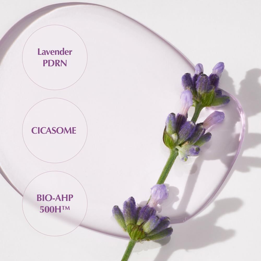 [NEW] KAINE Lavender PDRN Revitalizing Toner, 300ml