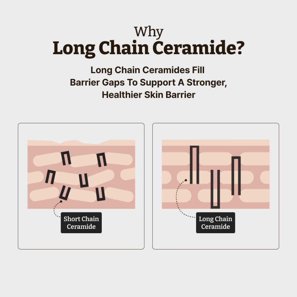 [NEW] DR.REJUALL Advanced LC-Ceramide Barrier Cream, 50mL